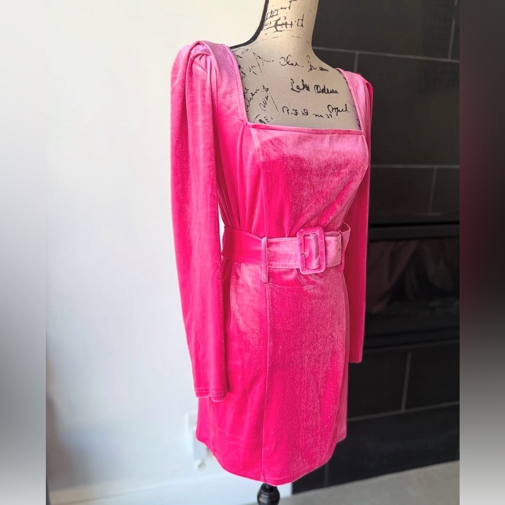 Elegant Pink Velvet Dress - Picture 2 of 2